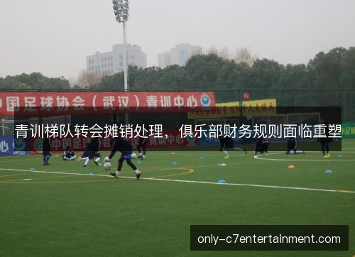 青训梯队转会摊销处理,俱乐部财务规则面临重塑 青训梯队转会摊销处理,俱乐部财务规则面临重塑